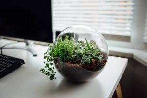 Read more about the article Extraordinary UX: What’s the line between a well-designed user experience